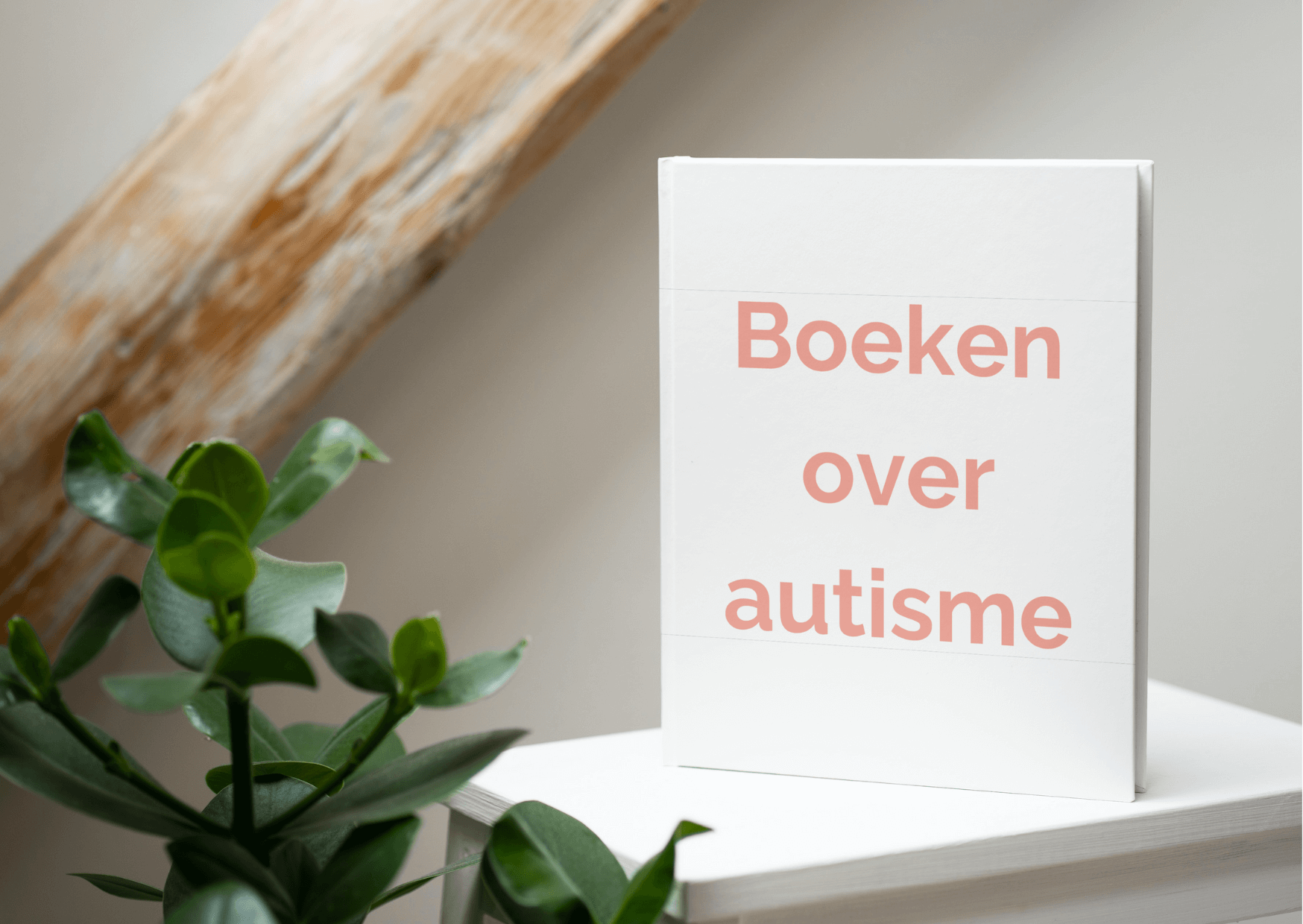 Boekentips - De Schrijvende Autist