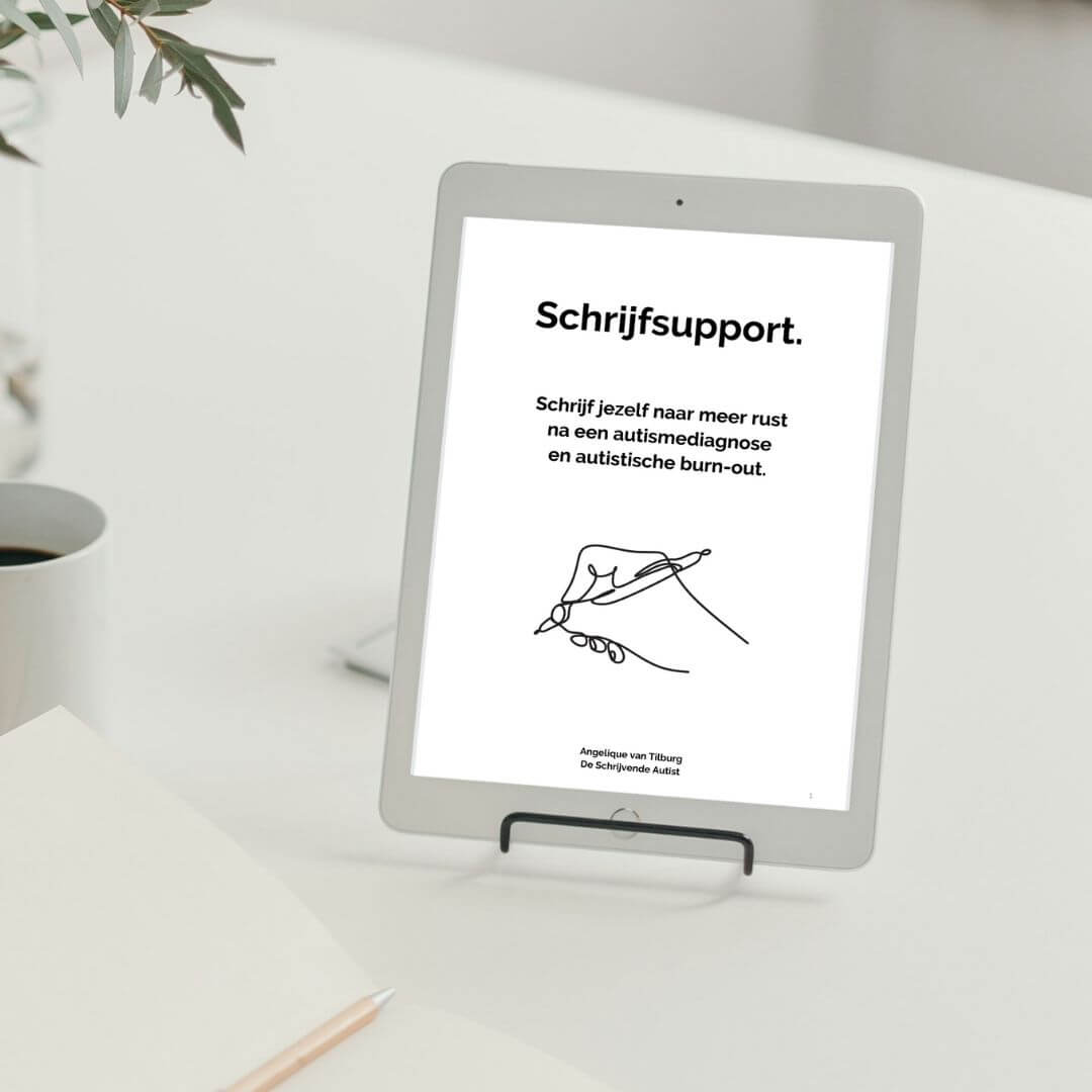 Schrijfsupport e-book