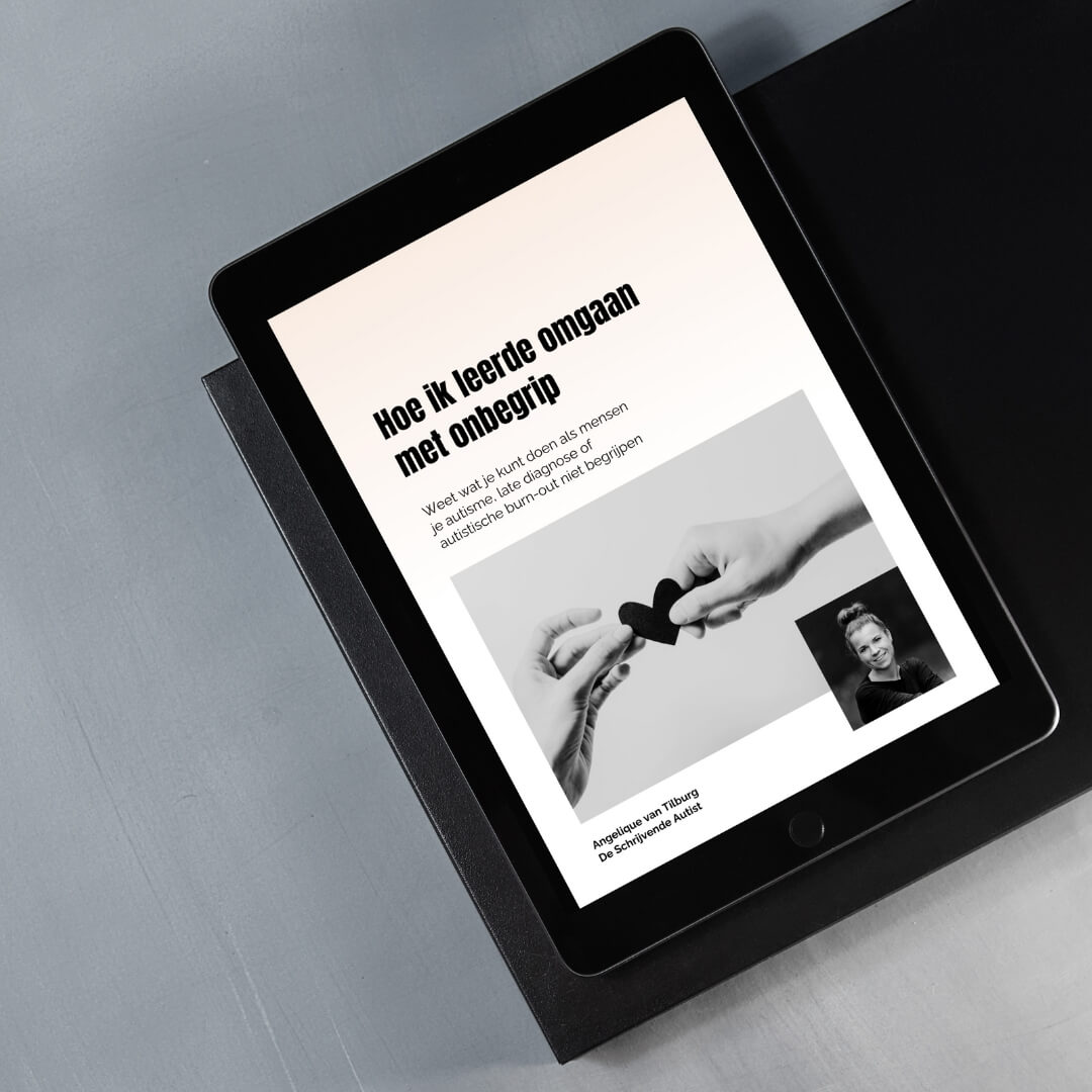 Omgaan met onbegrip e-book